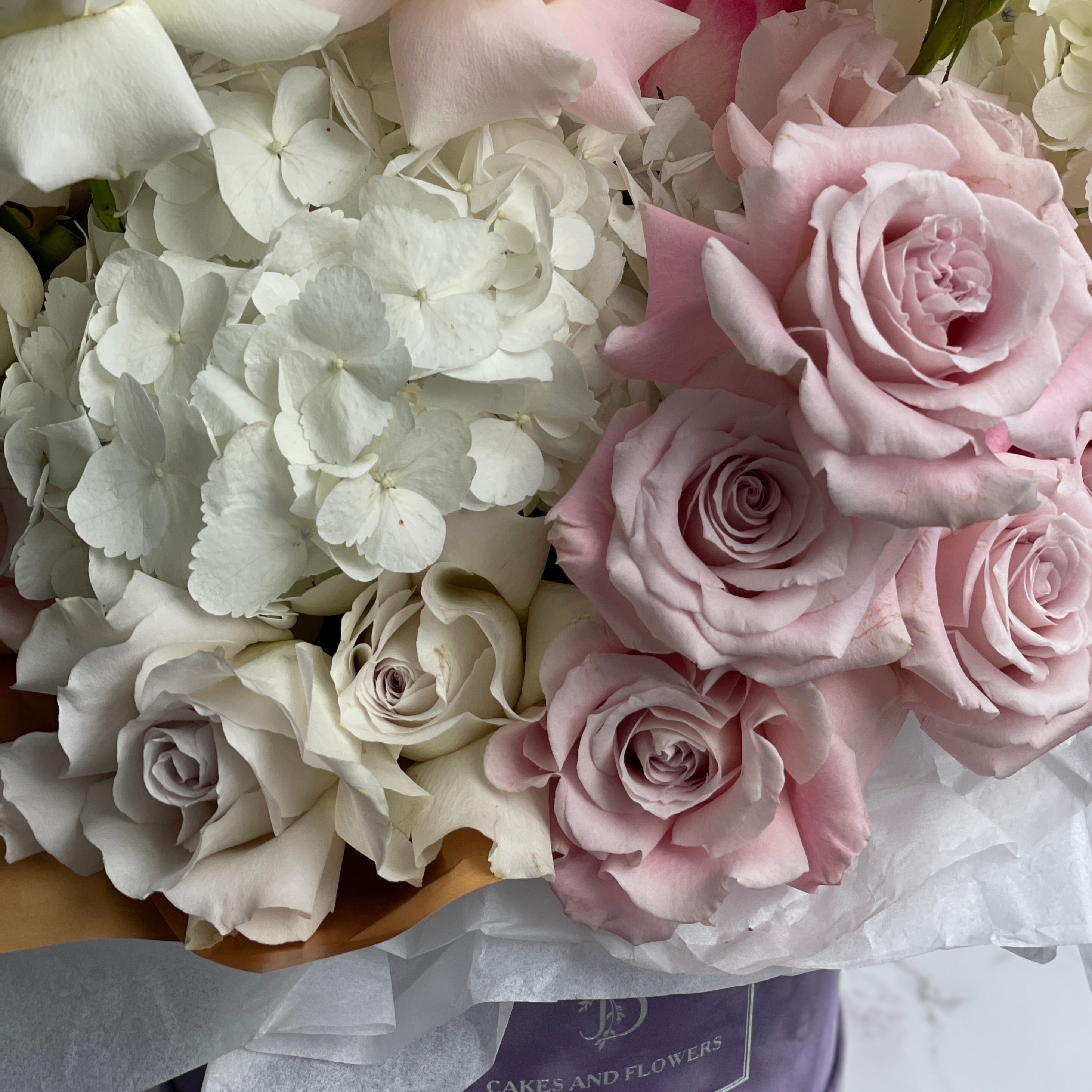 Tenderness of the morning