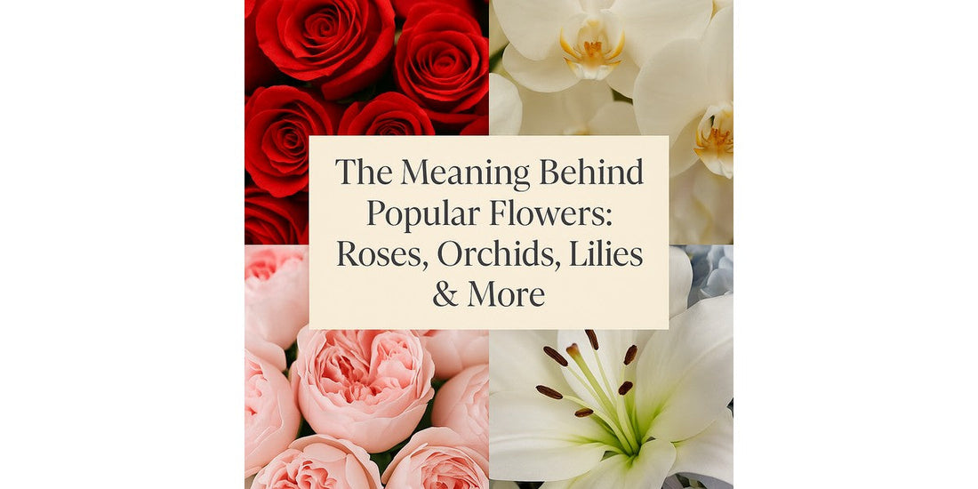 The Meaning Behind Popular Flowers: Roses, Orchids, Lilies & More