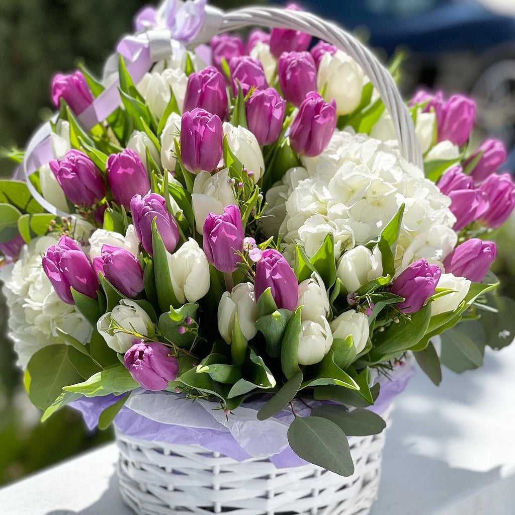 Gentle Spring