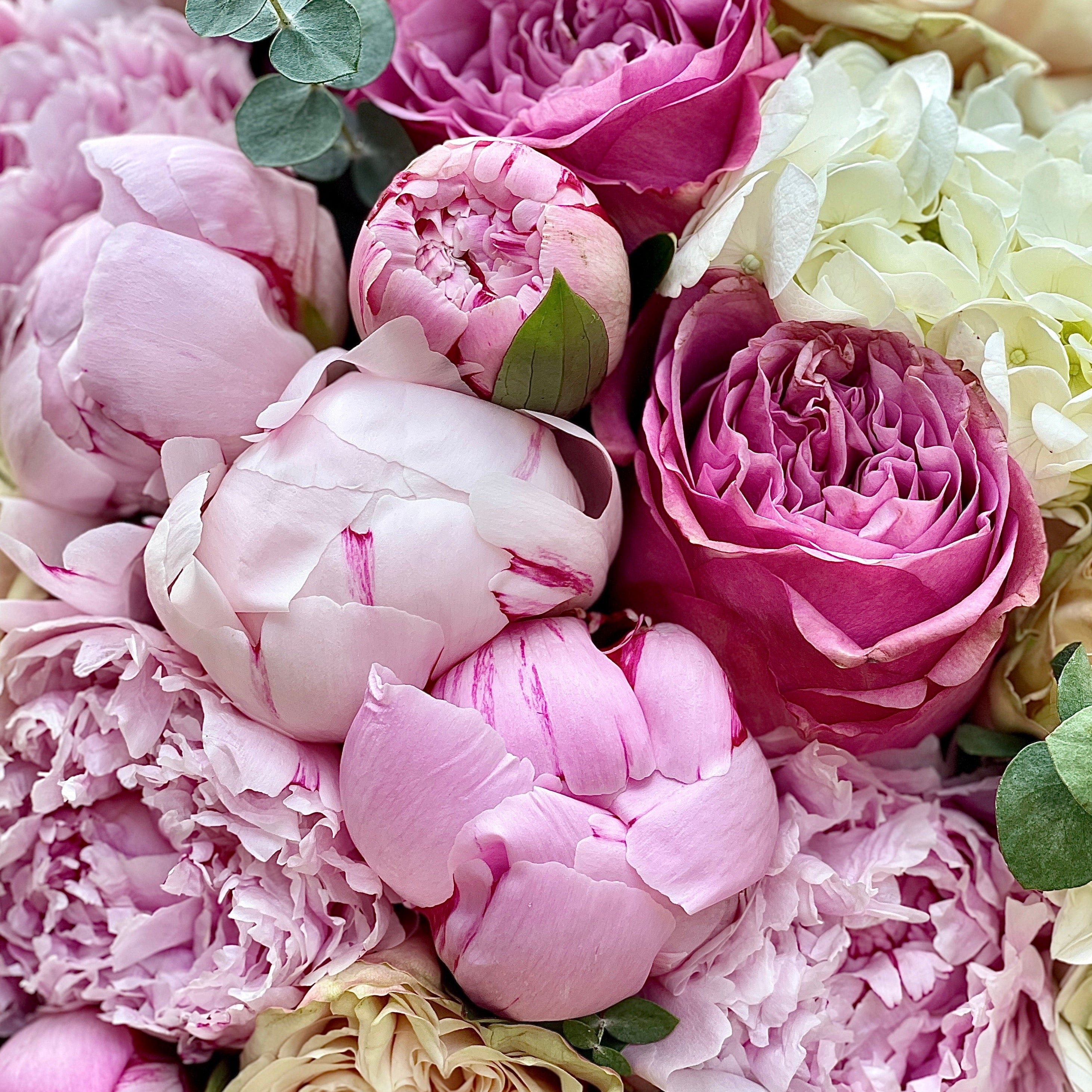 Spring dreams