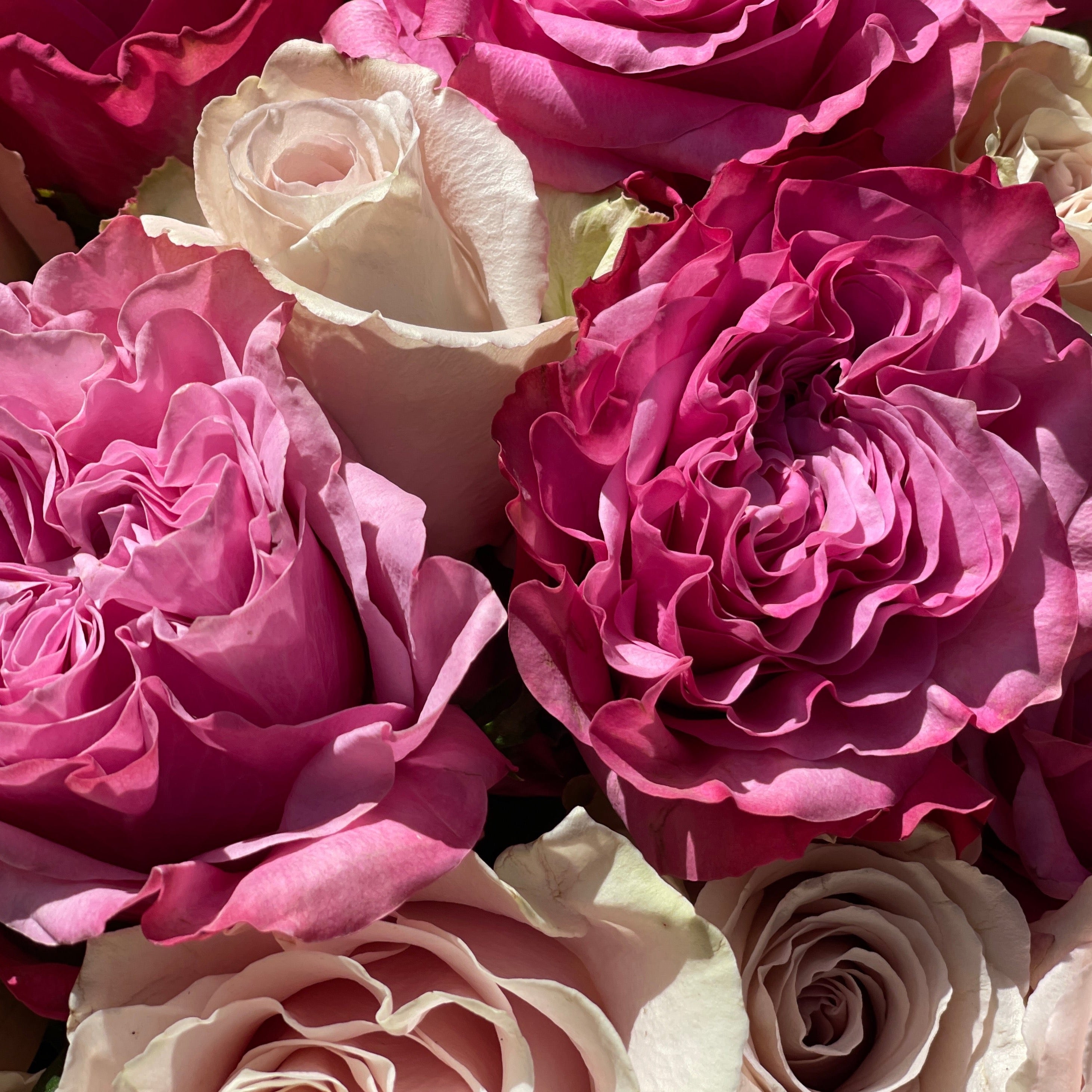 Be Mine
